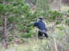 Dad_crouch.JPG (141672 bytes)