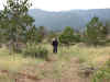 JoshF.JPG (134922 bytes)