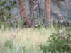 UncleJerryhidden.JPG (115357 bytes)
