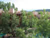 sun_lodge2.JPG (114783 bytes)