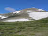 Audobon.JPG (83744 bytes)