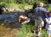 cabin wash.JPG (142079 bytes)