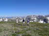 pictures.JPG (91674 bytes)
