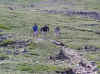 working hard.JPG (157538 bytes)