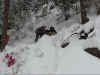 mom sled.jpg (75485 bytes)