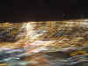 vegblur2.JPG (33929 bytes)