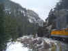train.JPG (24592 bytes)